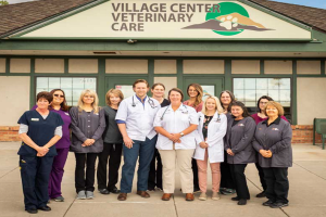 One of the best pet care centers in Colorado Springs